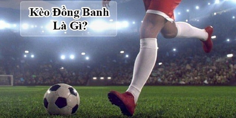 keo dong banh