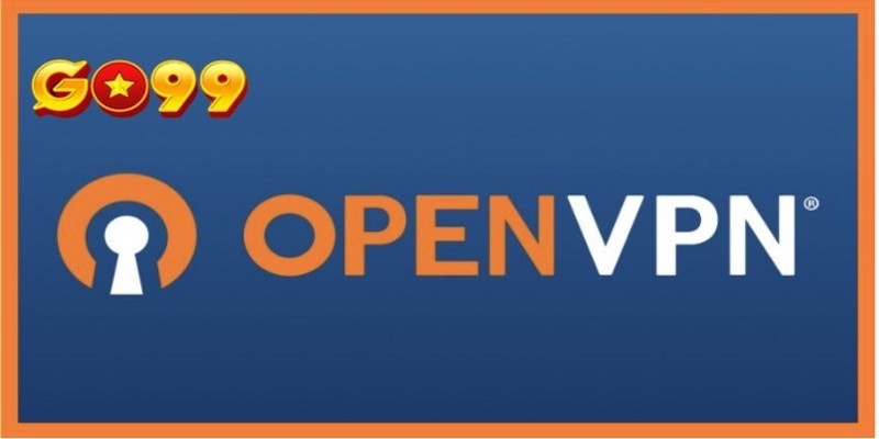 OpenVPN